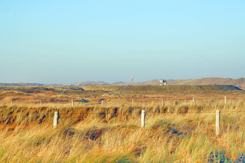 Beach Dunes Groote Keeten